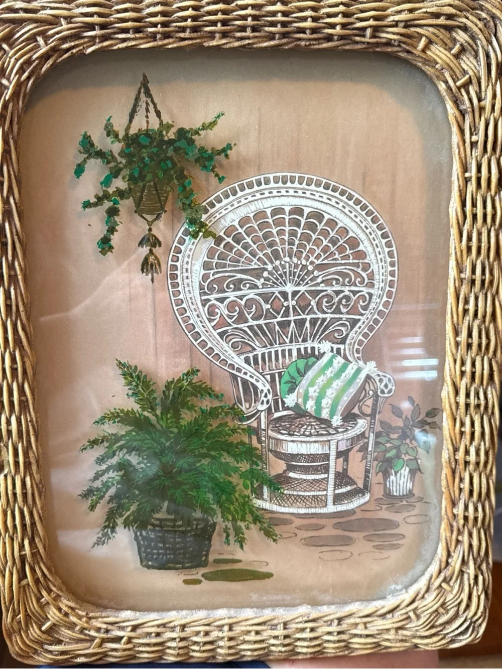 Rattan Framed Picture Wall Hanging Peacock Chair House Plants Boho Art Vintage